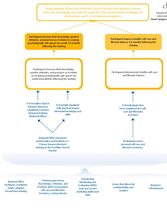 Trauma Informed Logic Model